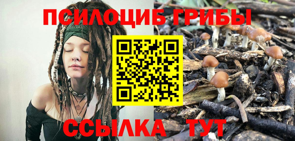 Галлюциногенные грибы MAGIC MUSHROOMS  Псилоцибиновые грибы Psilocybine cubensis  Нурлат  Вход с VPN 